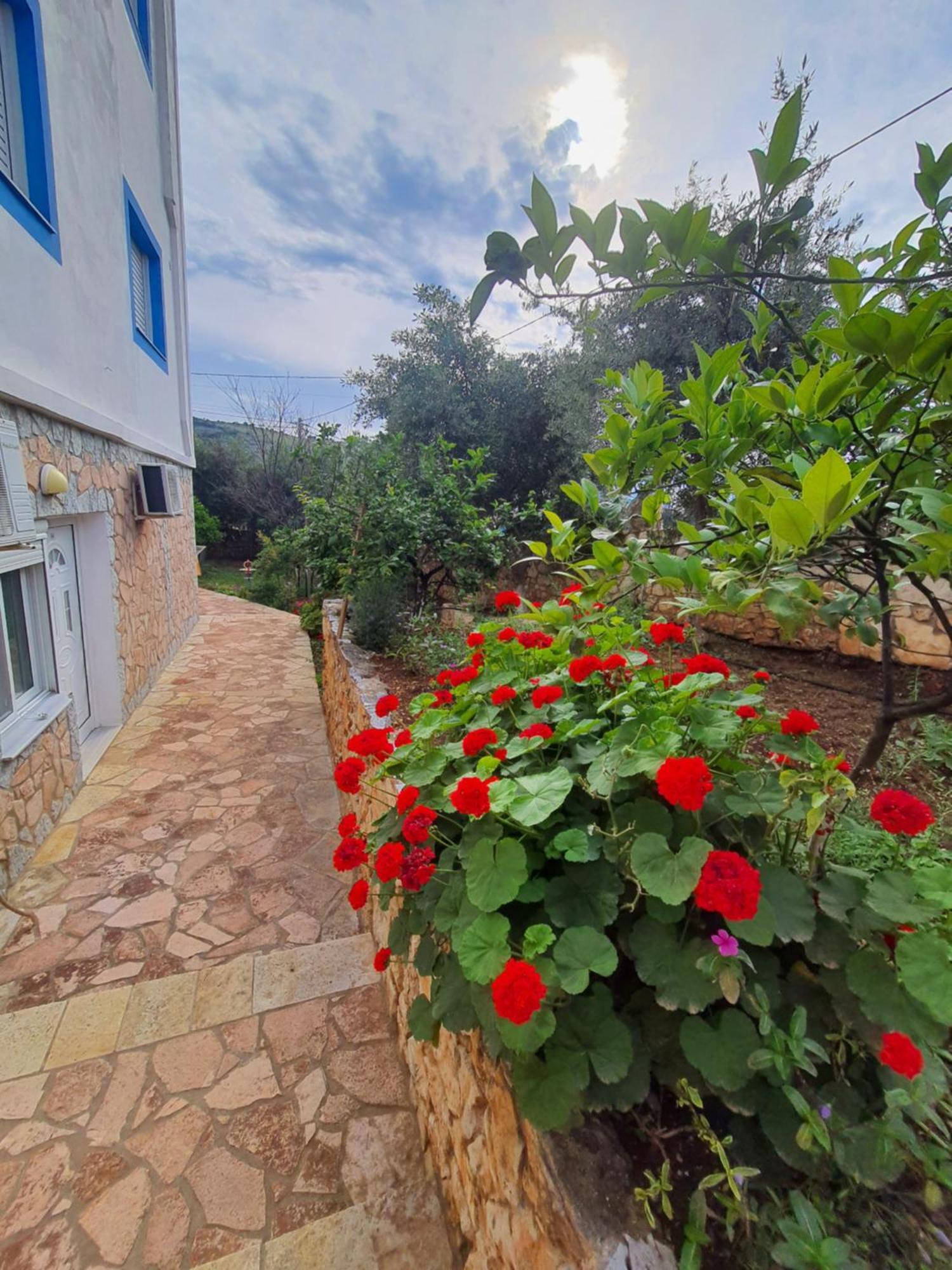 Vila Albi Ksamil Exterior photo